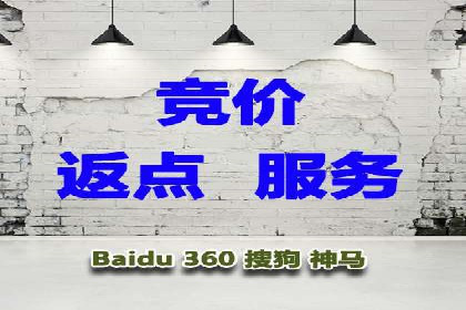 精准投放，sem竞价代运营的五大成功投放案例